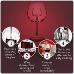 CHEVALIER Collection Wine Aerator Glasses - Set of 2