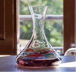 Antoni Barcelona Hand-Painted Red Wine Decanter