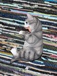 Gray Kitten Wine Bottle Holder - Unique Décor