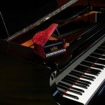 Piano-Shaped Decanter for Whisky and Wine Gift