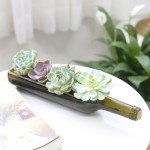 Succulent Wine Bottle Planter - Perfect Gift Idea