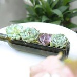 Succulent Wine Bottle Planter - Perfect Gift Idea