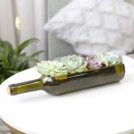 Succulent Wine Bottle Planter - Perfect Gift Idea