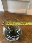 Sea Turtle Stemless Wine Glass - Perfect Gift!