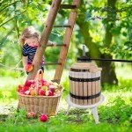 Solid Wood Fruit Wine Press for Apple and Berries