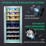 Double Zone Wine Cooler for 33 Bottles