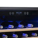 Compact 52-Bottle Wine Cooler in Black/Steel