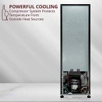 12-Bottle Lockable Wine Cooler with Digital Control