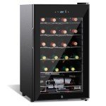 Compact 24-Bottle Double-Layer Wine Cooler Fridge