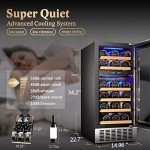 Aobosi 15-Inch Dual Zone Wine Cooler Refrigerator