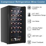 Compact 28 Bottle Wine Cooler with Digital Control