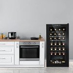 Compact 28 Bottle Wine Cooler with Digital Control