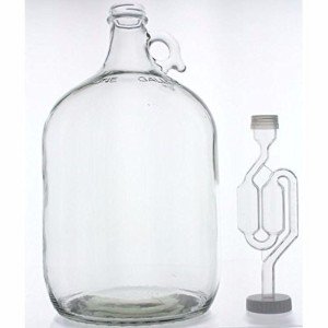 Glass Fermenting Jug for Home Wine Making