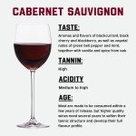 French Cabernet Sauvignon Wine Making Kit - 6 Gallon
