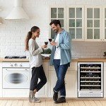 Tylza 24-Inch Dual Zone Wine Cooler Refrigerator