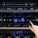Tylza 24-Inch Dual Zone Wine Cooler Refrigerator