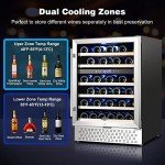 Tylza 24-Inch Dual Zone Wine Cooler Refrigerator