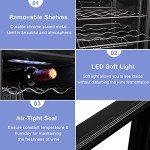 28-Bottle Freestanding Wine Cooler with Temp Control