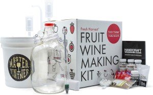 Small Batch Fruit Wine Making Kit - One Gallon
