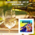 Italian Pinot Grigio Wine Making Kit - 6 Gallon
