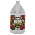 Raspberry Fruit Wine Base for Home Brewing 128 oz