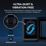 Compact 6-Bottle Wine Fridge with Mirror