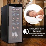 Compact Mini Wine Fridge for 12 Bottles