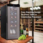 Compact Mini Wine Fridge for 12 Bottles