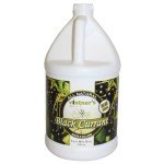 Black Currant Fruit Wine Base for Home Brewing