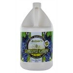 Concord Grape Wine Base for Home Brewing 128 oz
