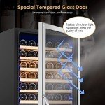 Dual Zone 24-Inch Wine Cooler with Elegant Design