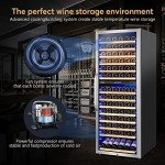 Dual Zone 24-Inch Wine Cooler with Elegant Design