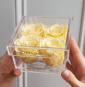 Everlasting Roses Gift Set - Perfect for All Celebrations