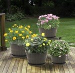 Imitation Wine Barrel Planter Pots - 4 Pack