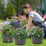 Imitation Wine Barrel Planter Pots - 4 Pack