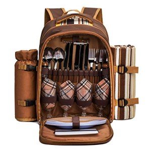 Apollo Walker Picnic Backpack for Wine Lovers