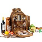 Apollo Walker Picnic Backpack for Wine Lovers