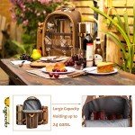 Apollo Walker Picnic Backpack for Wine Lovers