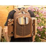 Apollo Walker Picnic Backpack for Wine Lovers