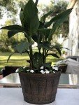 Copper Whiskey Barrel Planters Set of 2