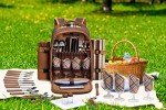 Apollo Walker Picnic Backpack for Wine Lovers