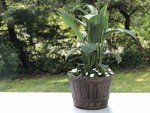 Copper Whiskey Barrel Planters Set of 2