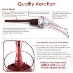Vintorio Wine Aerator & Decanter - Silver