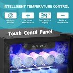 130 Can Mini Beverage Fridge with Glass Door