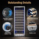 24-Inch Freestanding Wine Fridge for 173 Bottles