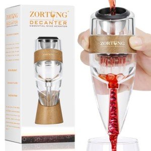 Wine Aerator Decanter with Filter and Travel Bag