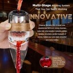 Wine Aerator Decanter with Filter and Travel Bag