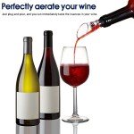 12-Piece Wine Aerator Spout and Decanter Set