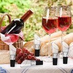 12-Piece Wine Aerator Spout and Decanter Set