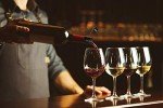 Haley's 5-in-1 Wine Aerator and Stopper Gift
